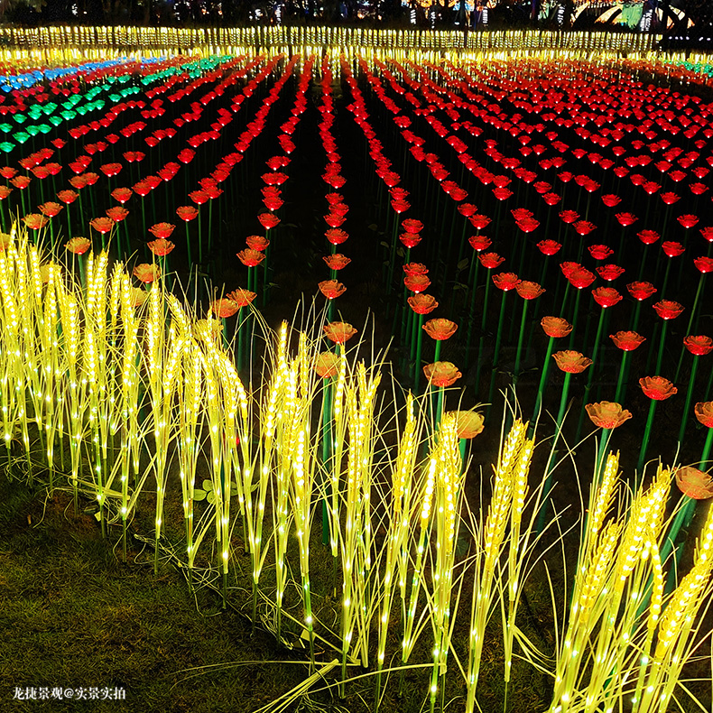 文件上传成功！