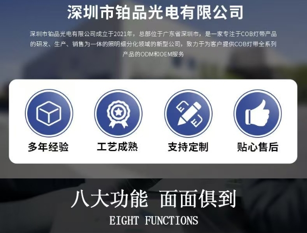 文件上传成功！