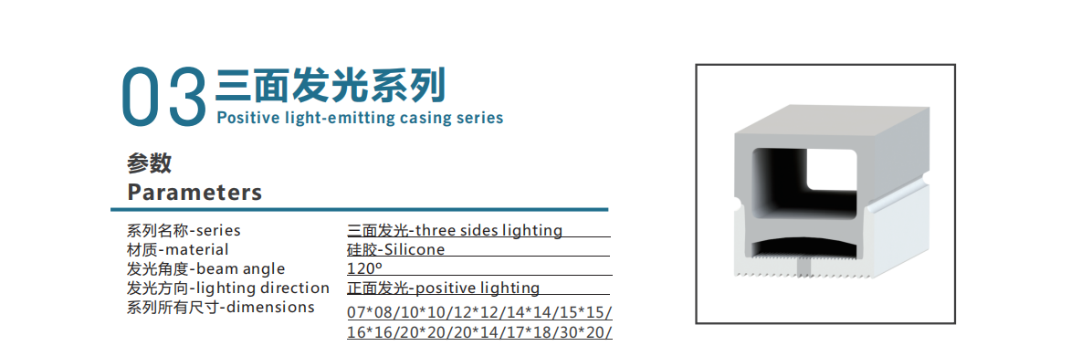 文件上传成功！