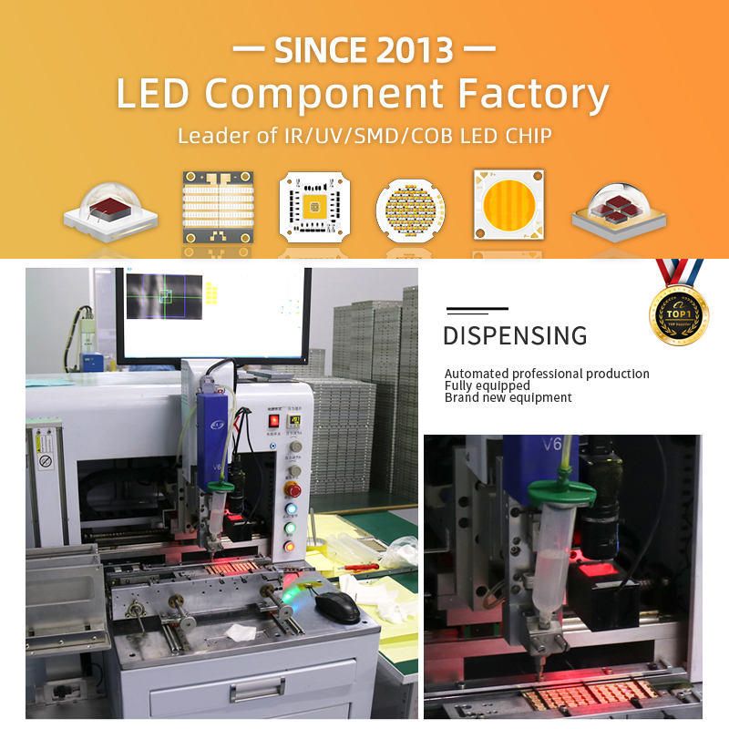 文件上传成功！