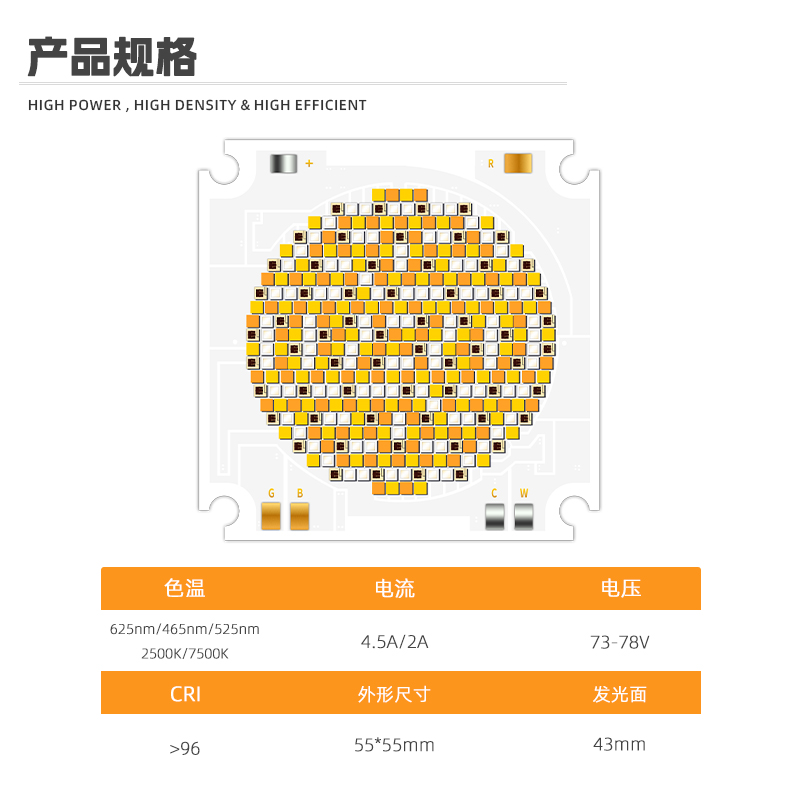 文件上传成功！