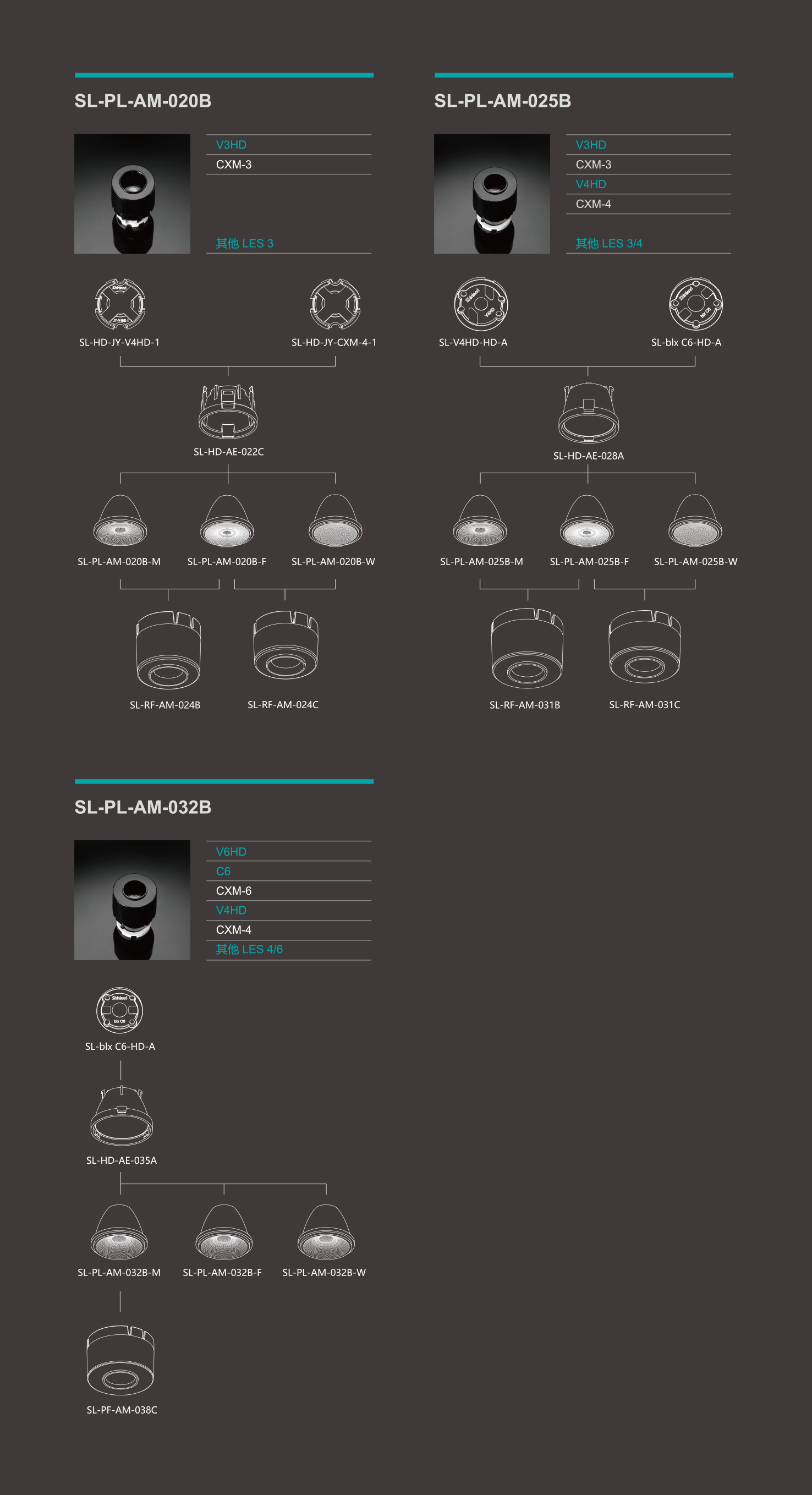 文件上传成功！