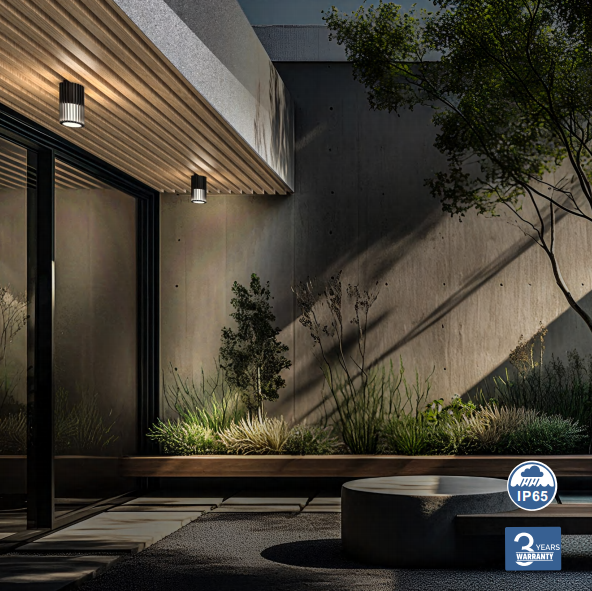 文件上传成功！