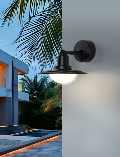 文件上传成功！