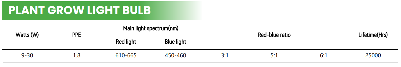 文件上传成功！