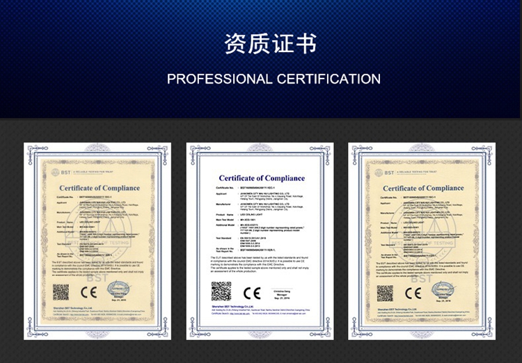 文件上传成功！