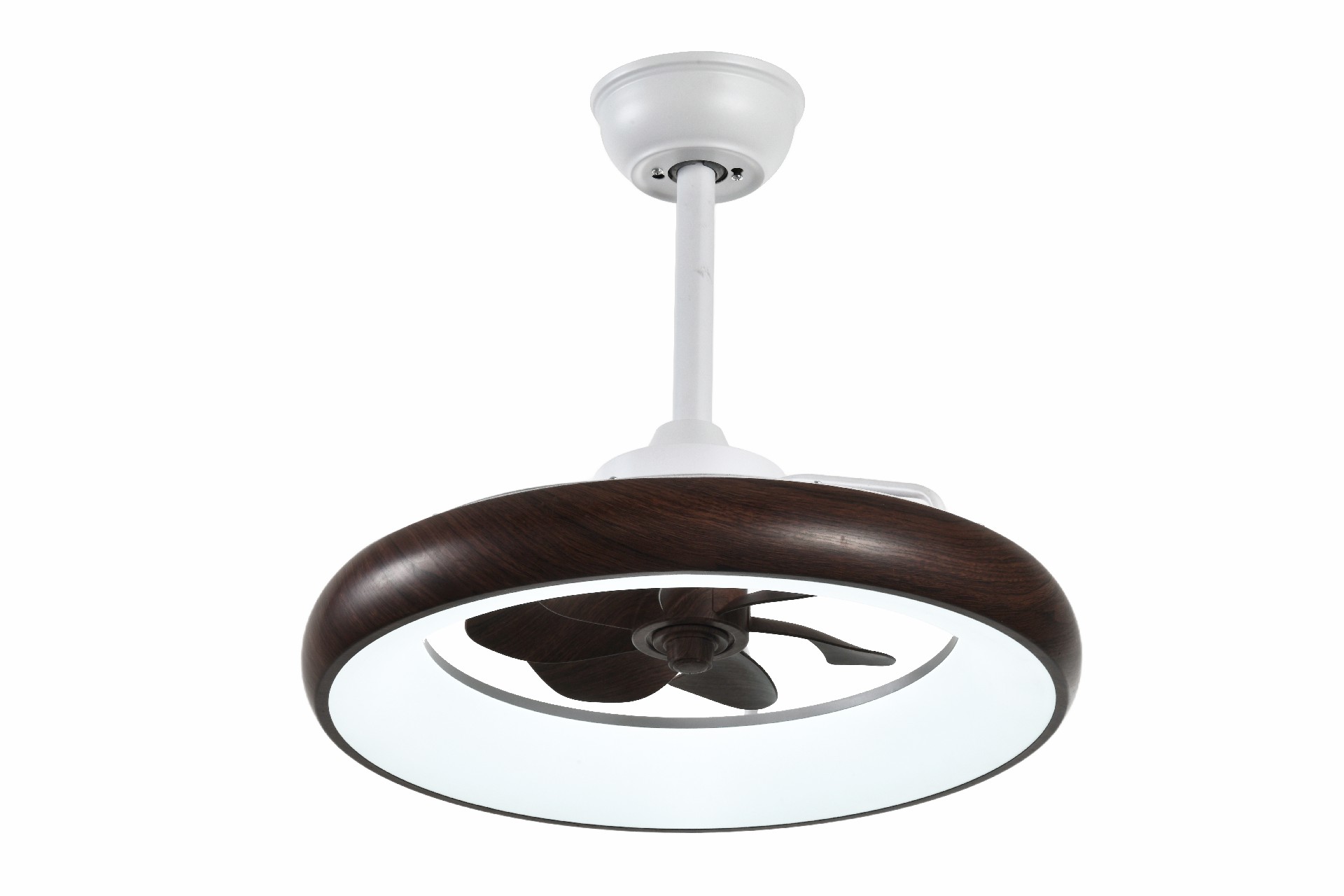 文件上传成功！