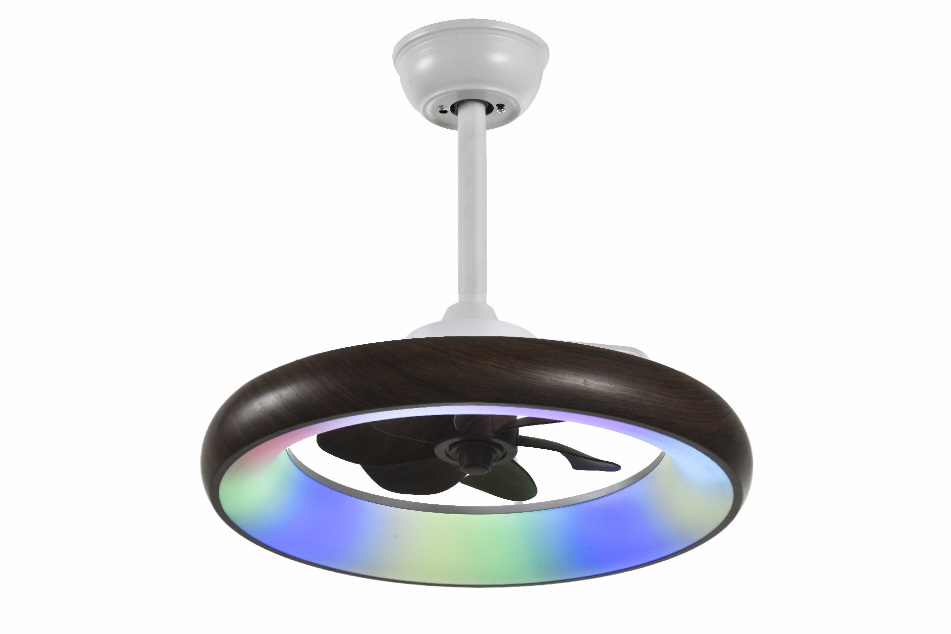 文件上传成功！