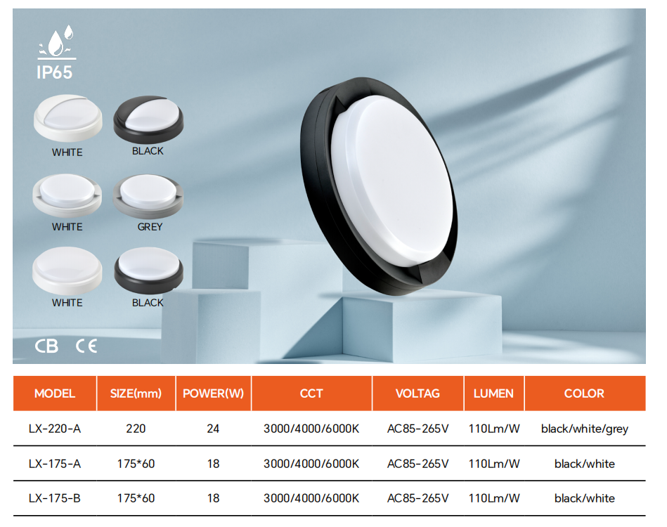 文件上传成功！