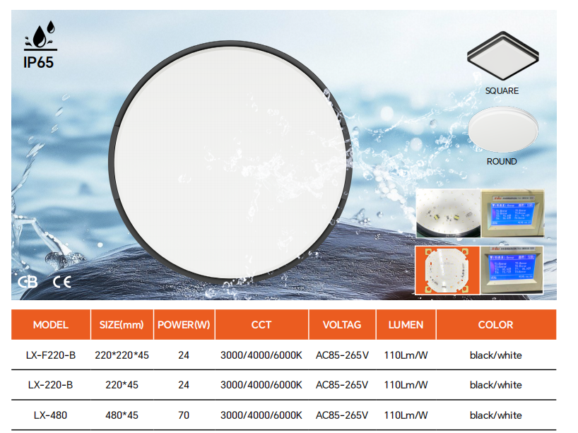 文件上传成功！