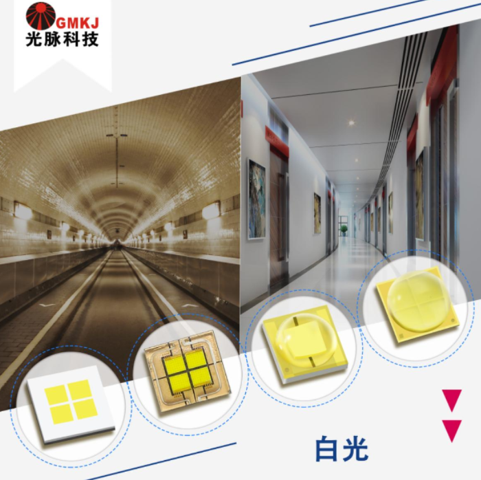 文件上传成功！