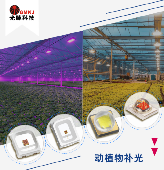 文件上传成功！