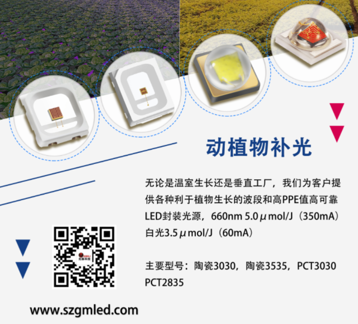 文件上传成功！