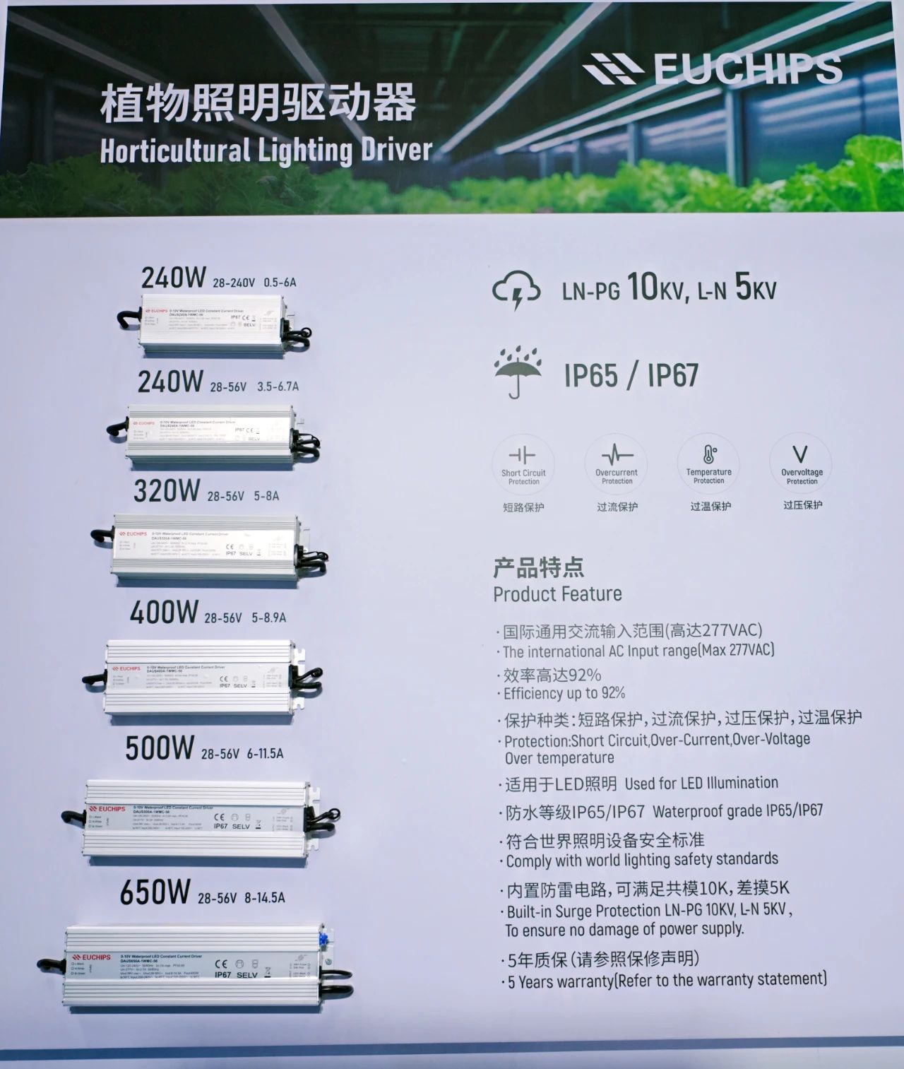 文件上传成功！