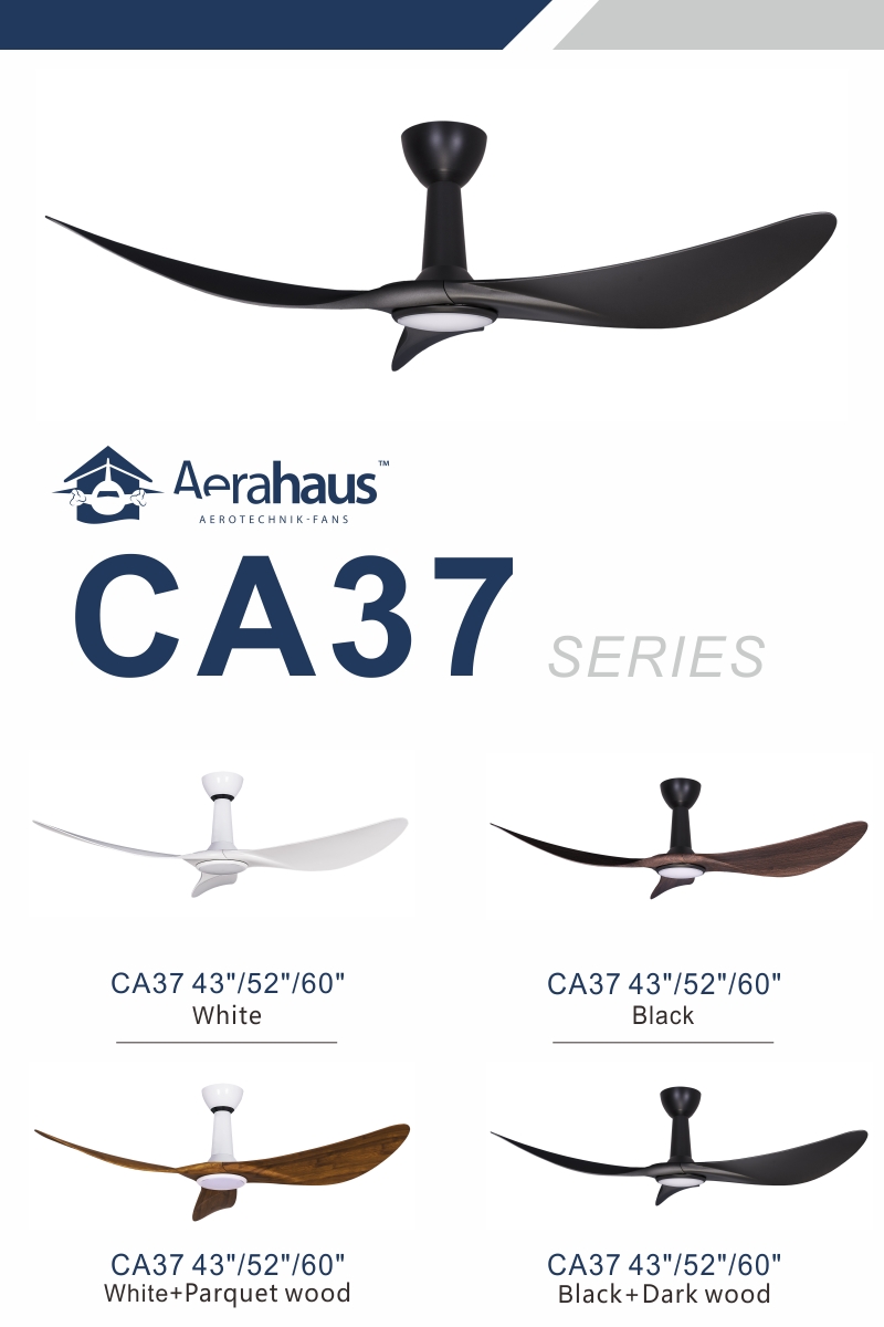 文件上传成功！