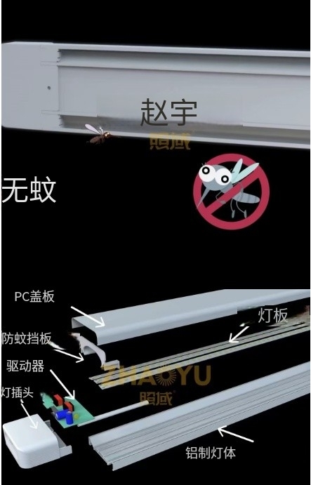 文件上传成功！