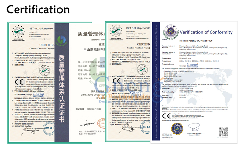 文件上传成功！