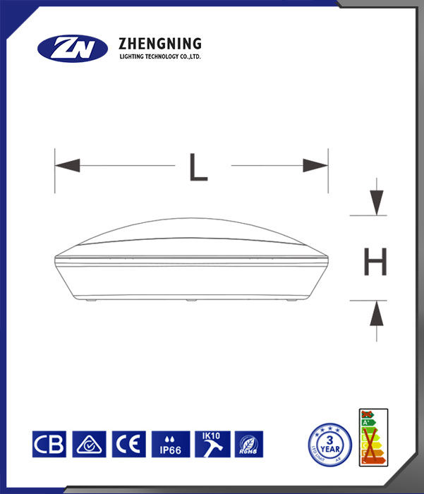 文件上传成功！