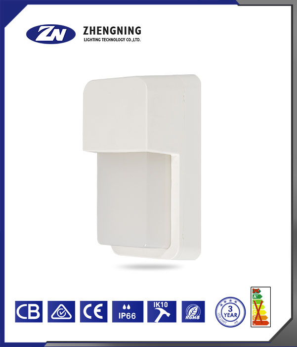 文件上传成功！