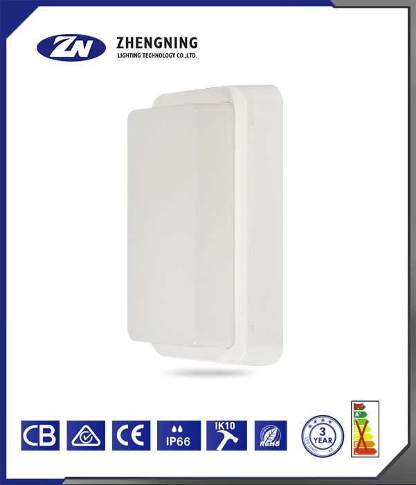 文件上传成功！