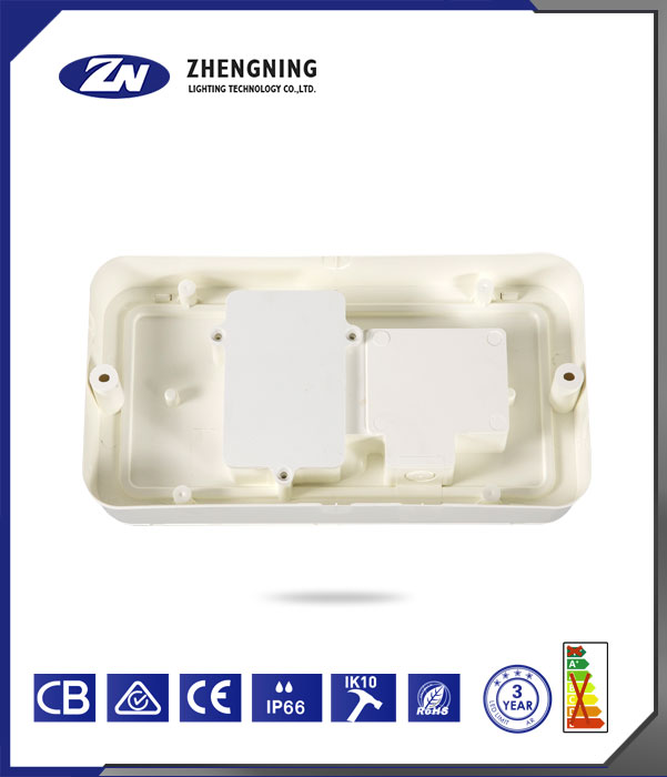 文件上传成功！