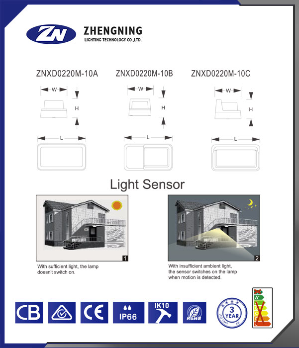 文件上传成功！