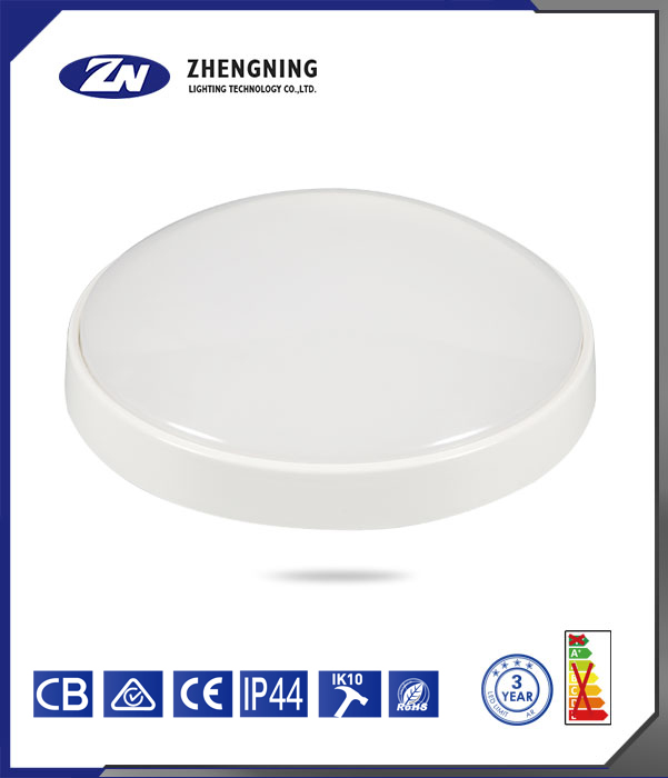 文件上传成功！