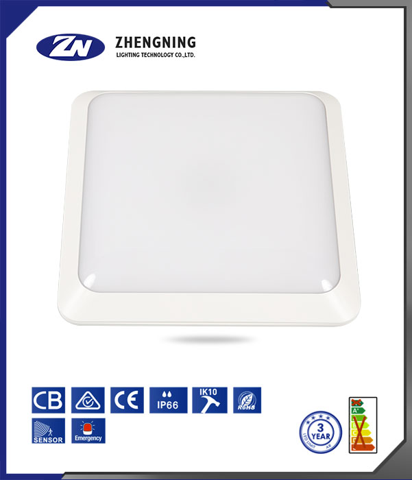 文件上传成功! 文件上传成功!