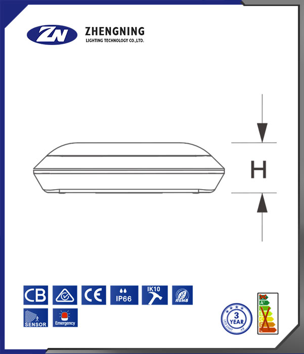 文件上传成功! 文件上传成功!