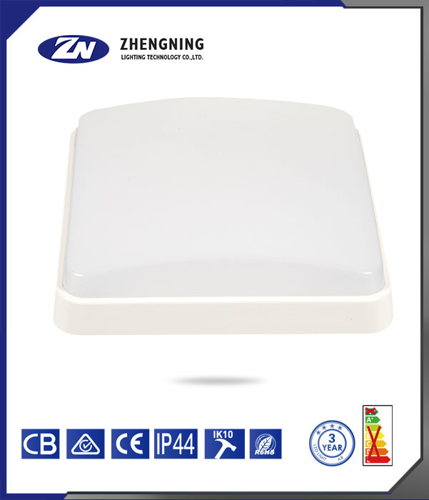 文件上传成功！