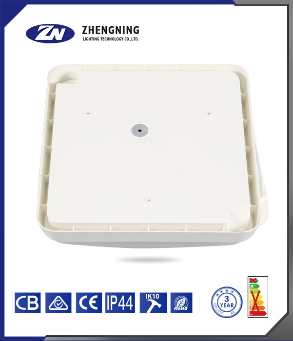 文件上传成功！