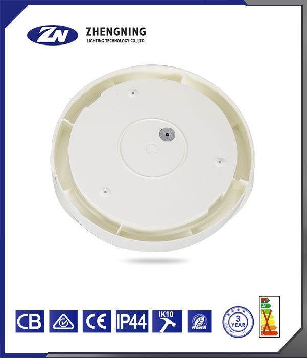 文件上传成功！