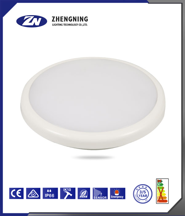 文件上传成功！