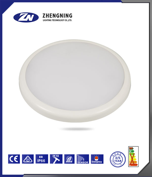 文件上传成功！