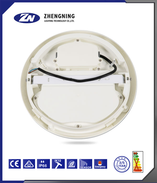 文件上传成功！