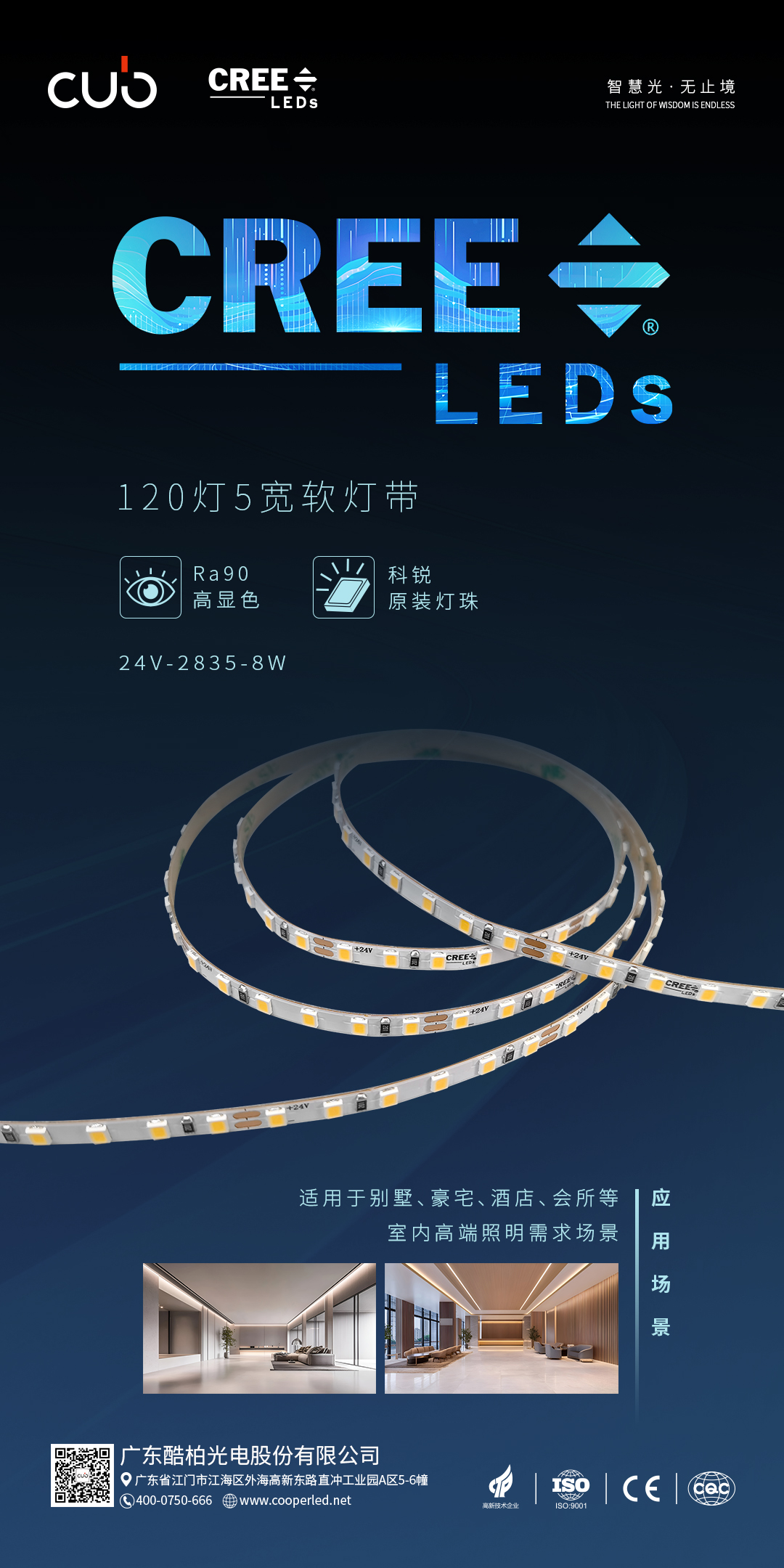 文件上传成功！