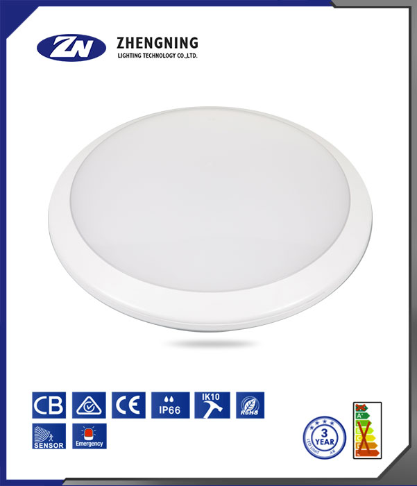 文件上传成功！