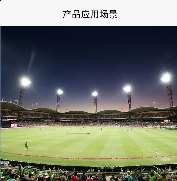 文件上传成功！