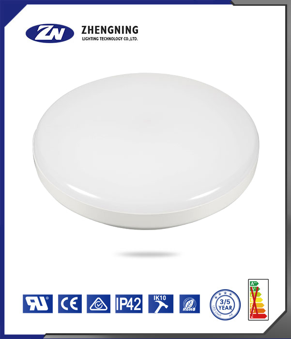 文件上传成功！