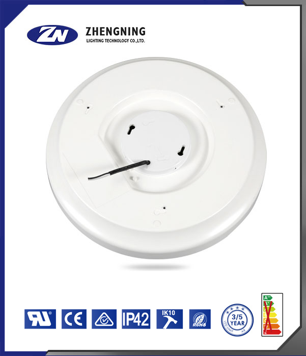 文件上传成功！