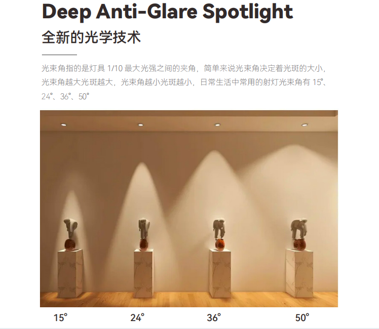 文件上传成功！