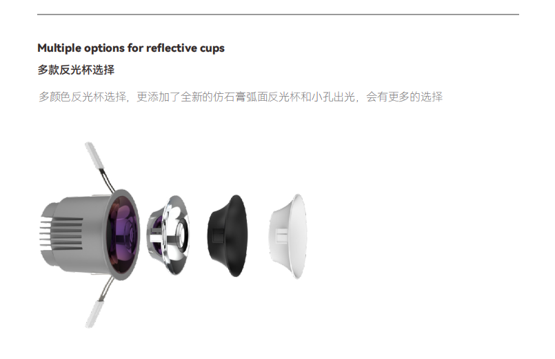 文件上传成功！