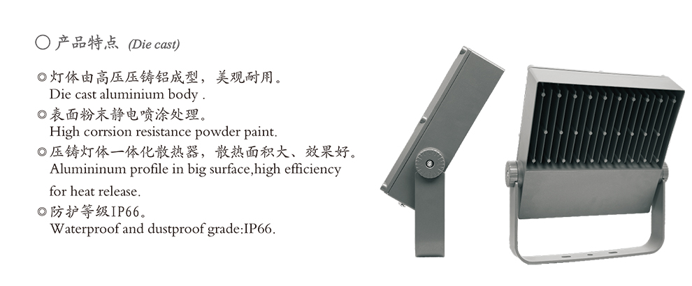 文件上传成功！