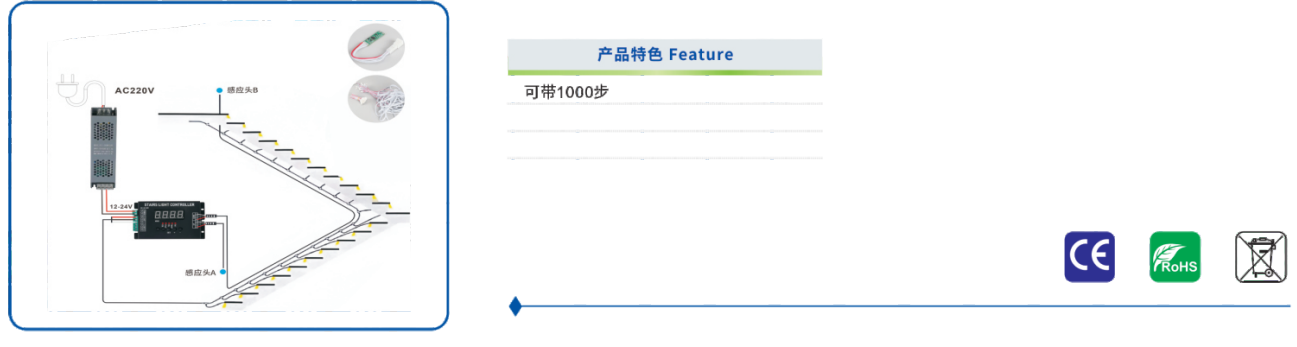 文件上传成功！