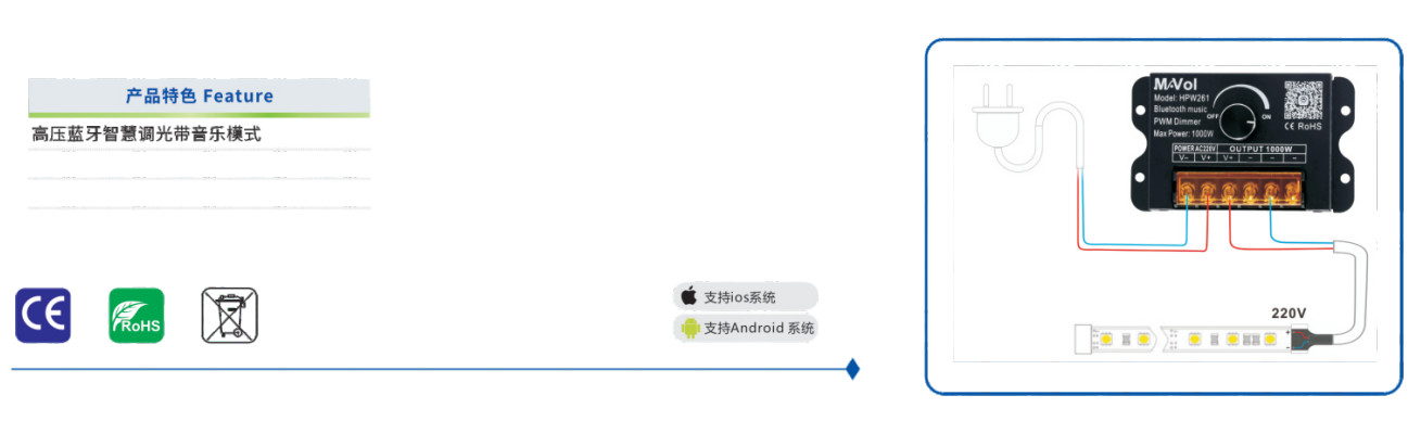 文件上传成功！