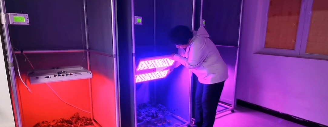 文件上传成功! 文件上传成功!