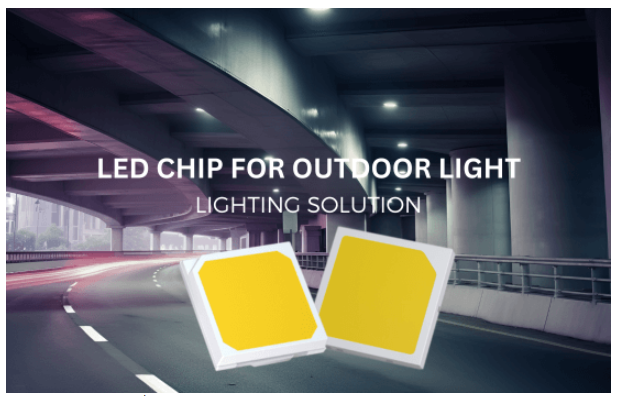 文件上传成功! 文件上传成功!