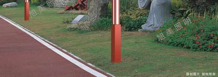 文件上传成功！