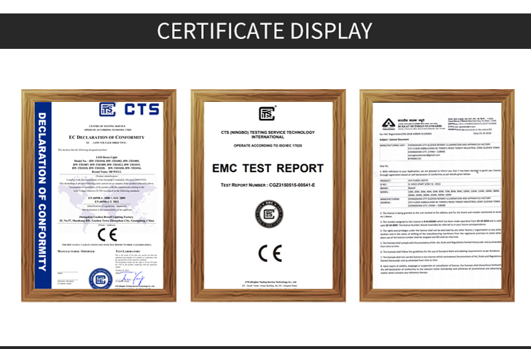 文件上传成功！
