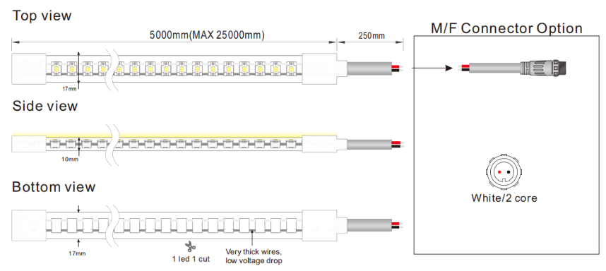 文件上传成功！